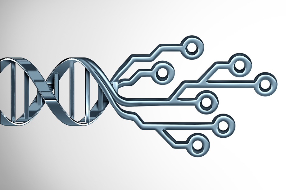 Genes databases meta-analyses