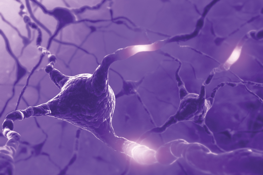 Neuroimaging and the Effects of Alcohol on the Brain