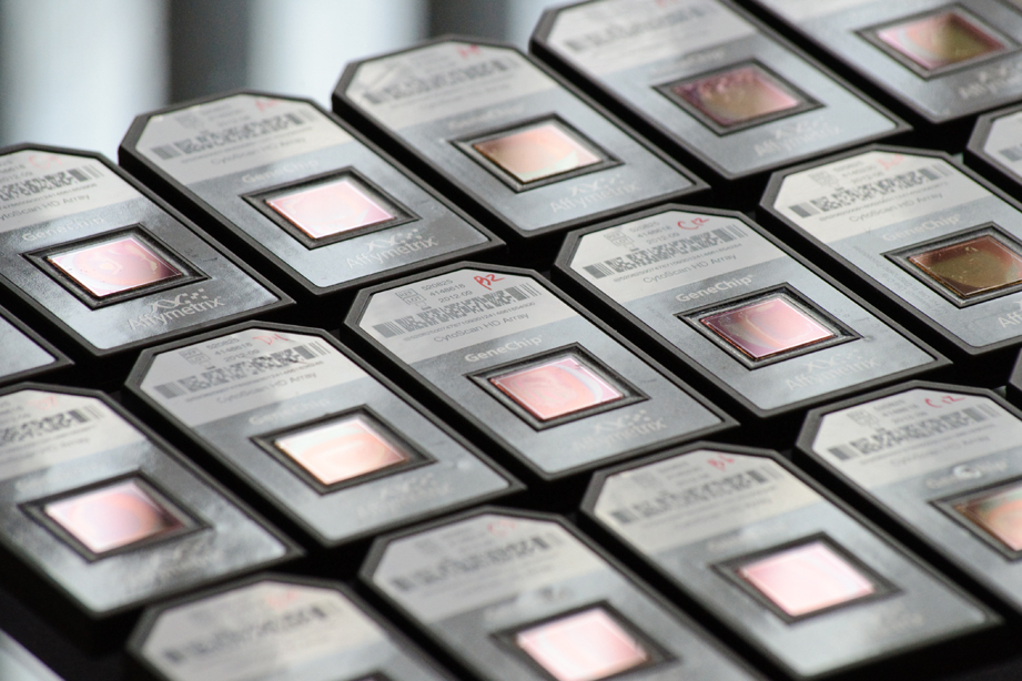 Cerebral Palsy Genetics