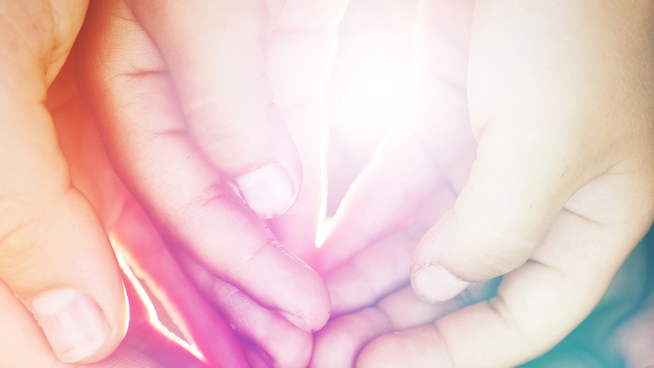 KBHN-Mitacs Awards: Call for proposal