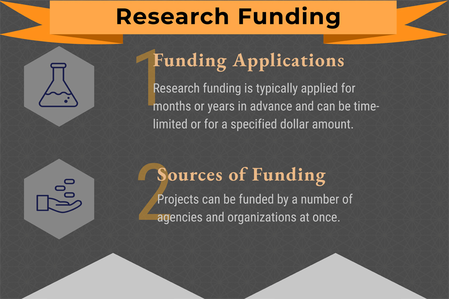 Demystifying Academic Culture: A Guide to Research Processes