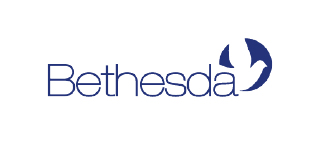 Bethesda Children&rsquo;s Services